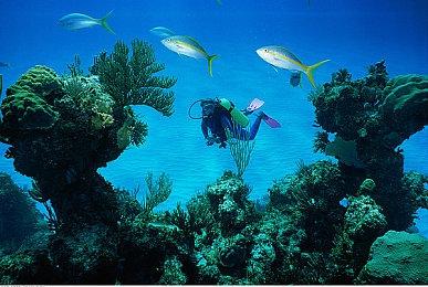 【第一视角】《永劫无间》职业联赛NBPL常规赛6月16日